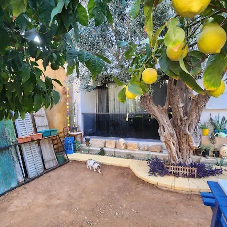 アパート Kirkor ファマグスタ