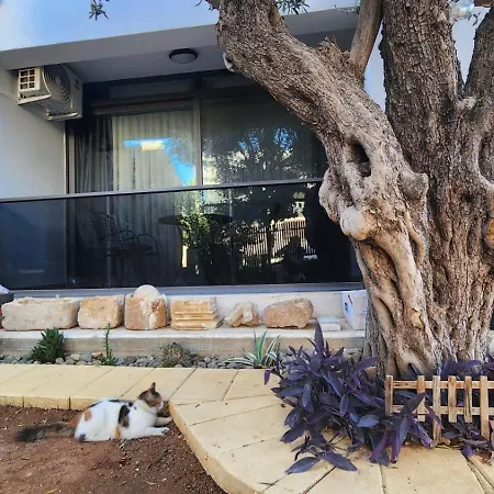 Apartament Kirkor Famagusta (Northern Cyprus)