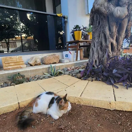 Kirkor Διαμέρισμα