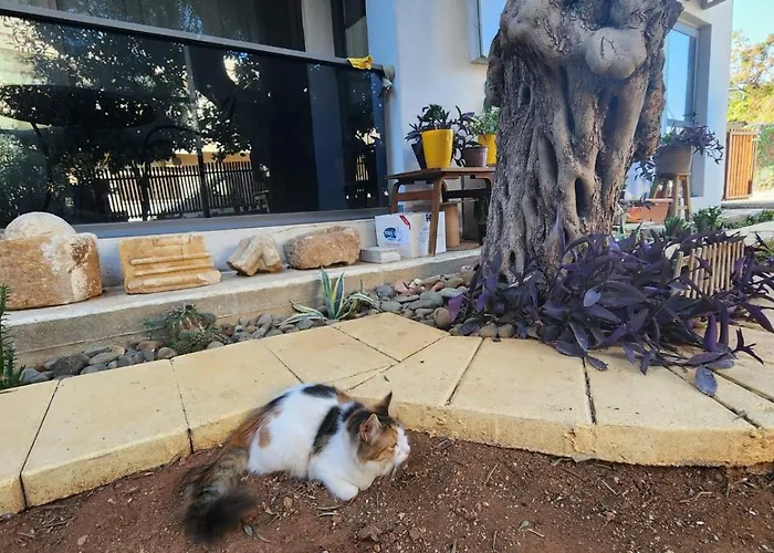 Kirkor Διαμέρισμα